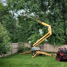 Best Residential Tree Removal  in West Haven, CT